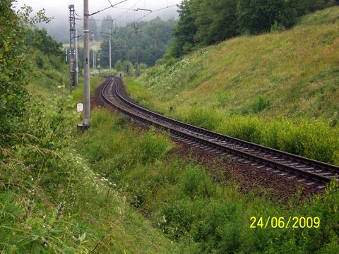 Foto 21